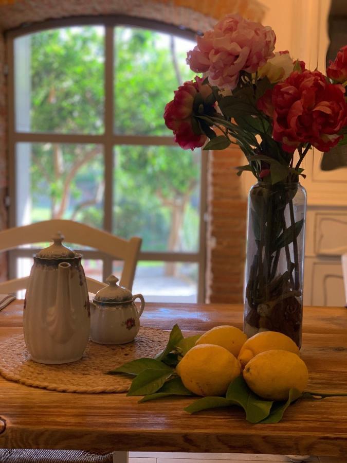Bed and Breakfast Il Giardino Dei Limoni Suvereto Exterior foto